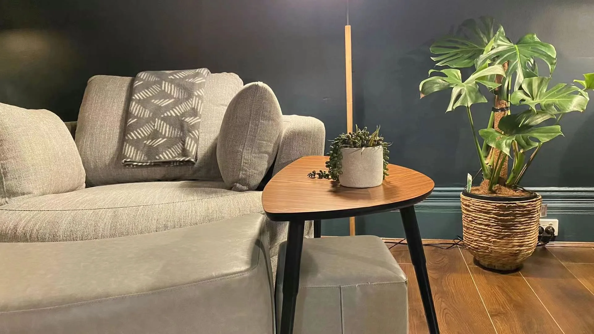 Grey linen sofa and walnut side table with a potted monstera on warm timber floor